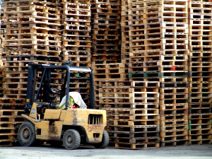 carrelli elevatori carrelli elevatori